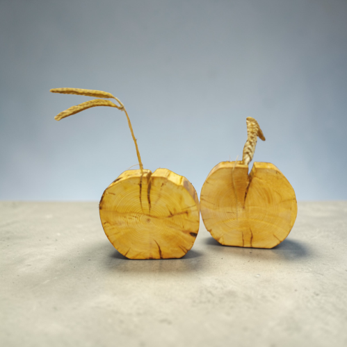 IMG_20260221_213612 (1).png